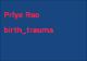 2025_Blue_book_Priya_Rao_birth_trauma13.pdf.jpg